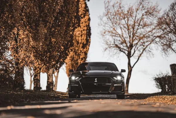 SuperNopea Casino Aip Android/iOS